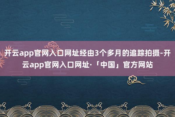 开云app官网入口网址经由3个多月的追踪拍摄-开云app官网入口网址·「中国」官方网站